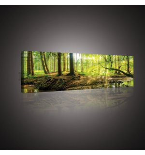 Obraz na plátně: Lužní les - 145x45 cm