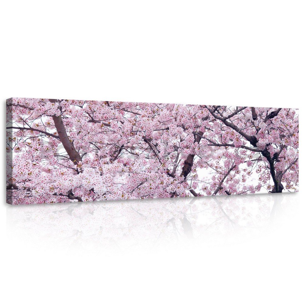 Obraz na plátně: Kvetoucí třešeň (1) - 145x45 cm
