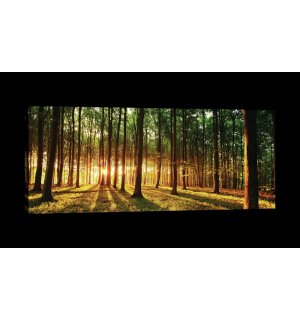 Obraz na plátně: Západ slunce v lese - 145x45 cm