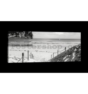 Obraz na plátně: Písčitá pláž (černobílá) - 145x45 cm