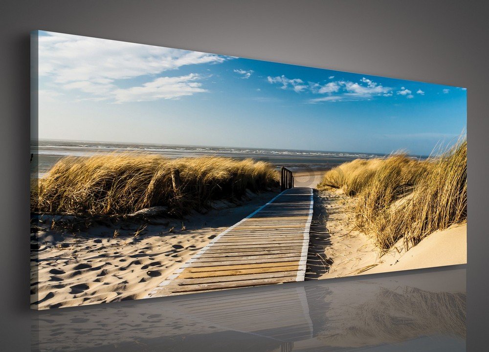 Obraz na plátně: Cesta na pláž - 145x45 cm