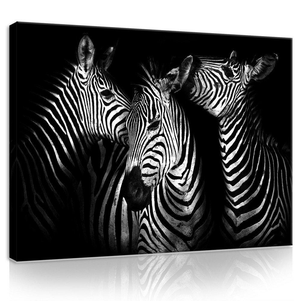 Obraz na plátně: Zebry (4) - 75x100 cm