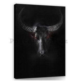 Obraz na plátně: Černý býk - 100x75 cm