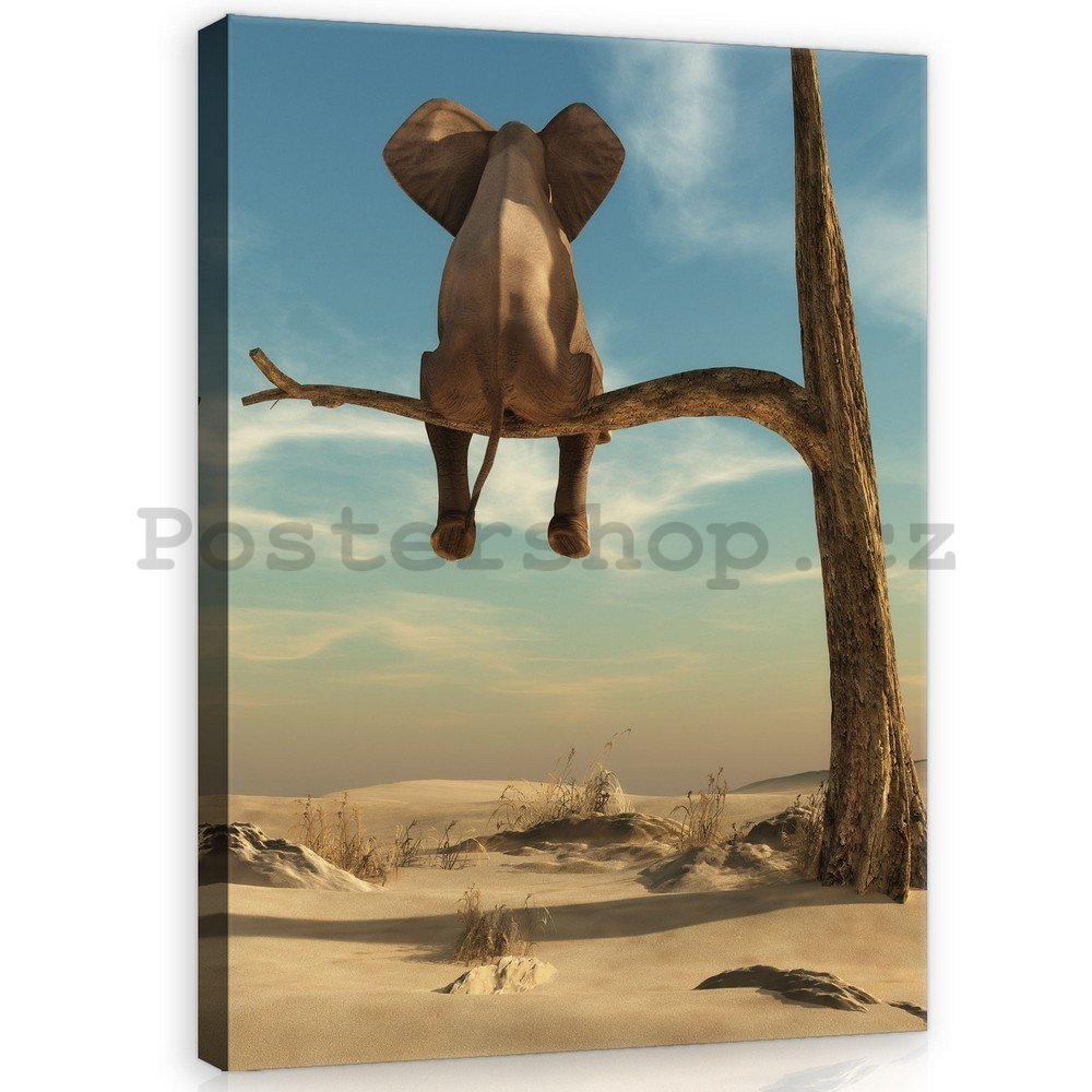Obraz na plátně: Slon na stromě - 100x75 cm