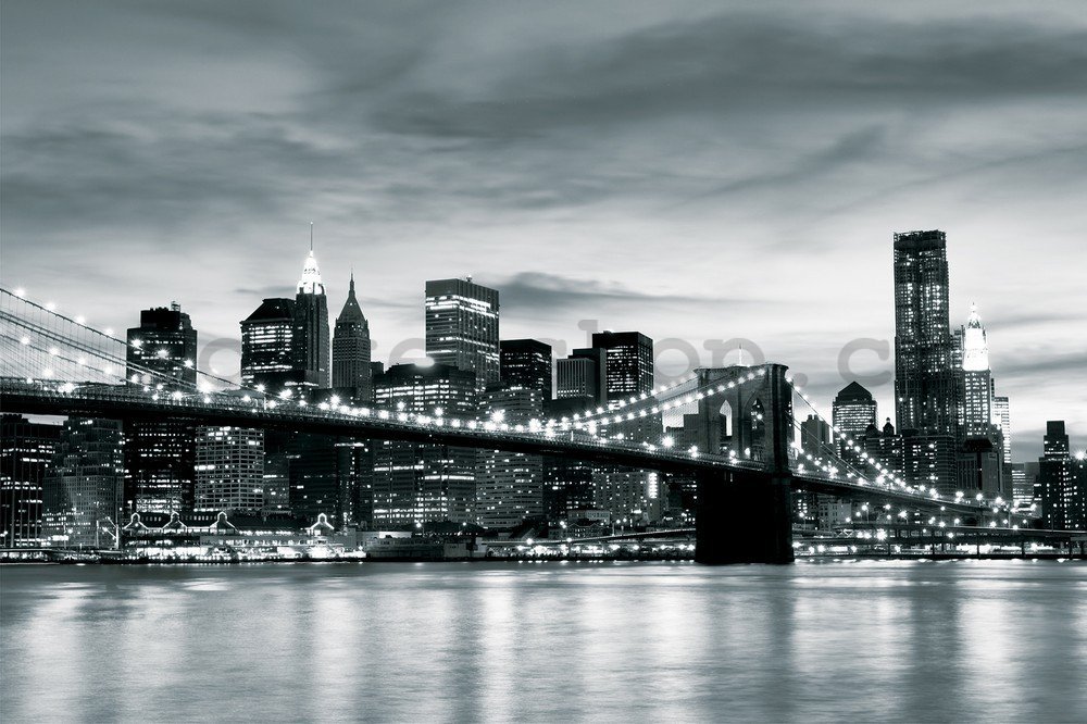 Fototapeta: Brooklyn Bridge (černobílý) - 104x152,5 cm
