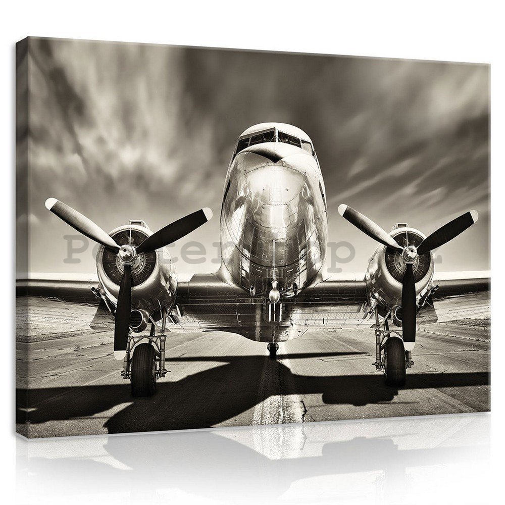 Obraz na plátně: Letadlo (černobílé) - 75x100 cm