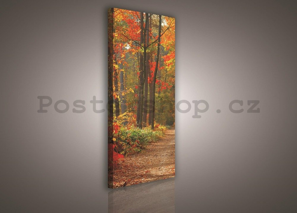 Obraz na plátně: Podzimní les - 145x45 cm