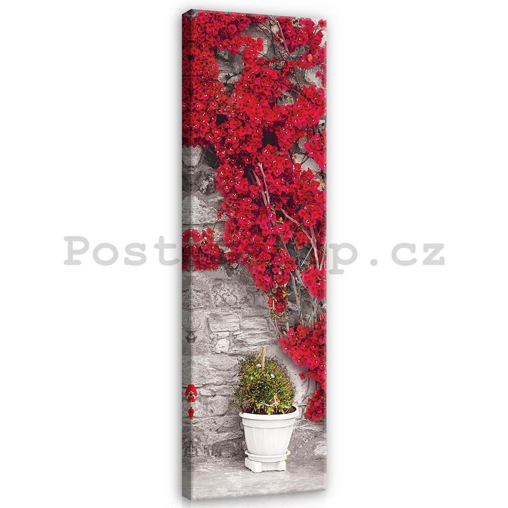 Obraz na plátně: Červená květinová zeď - 145x45 cm