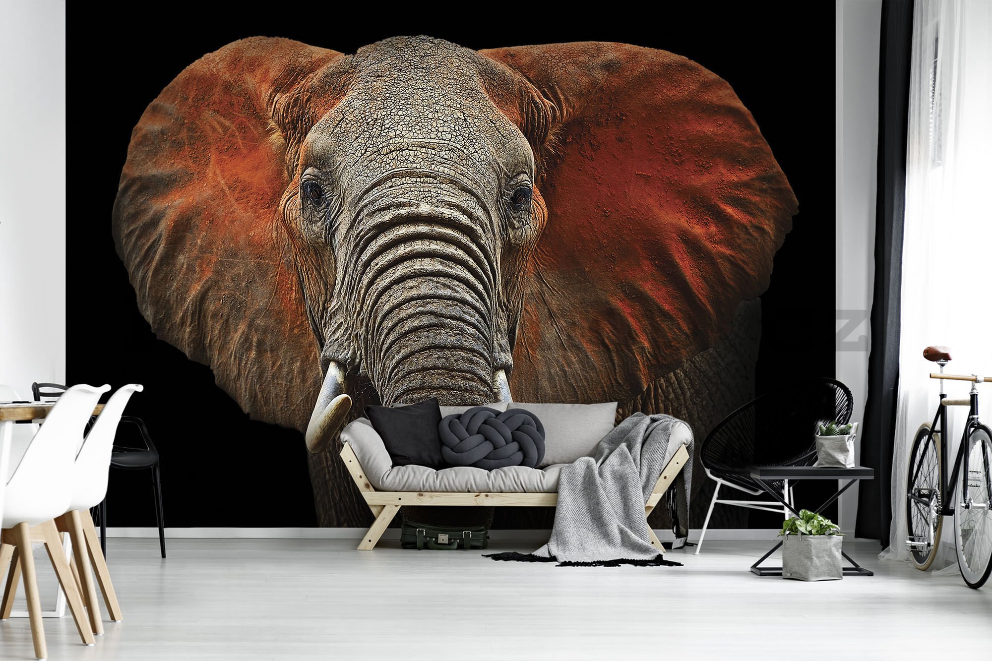Fototapeta vliesová: Slon (detail) - 184x254 cm