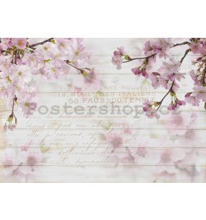 Fototapeta vliesová: Třešňové květy (1) - 184x254 cm