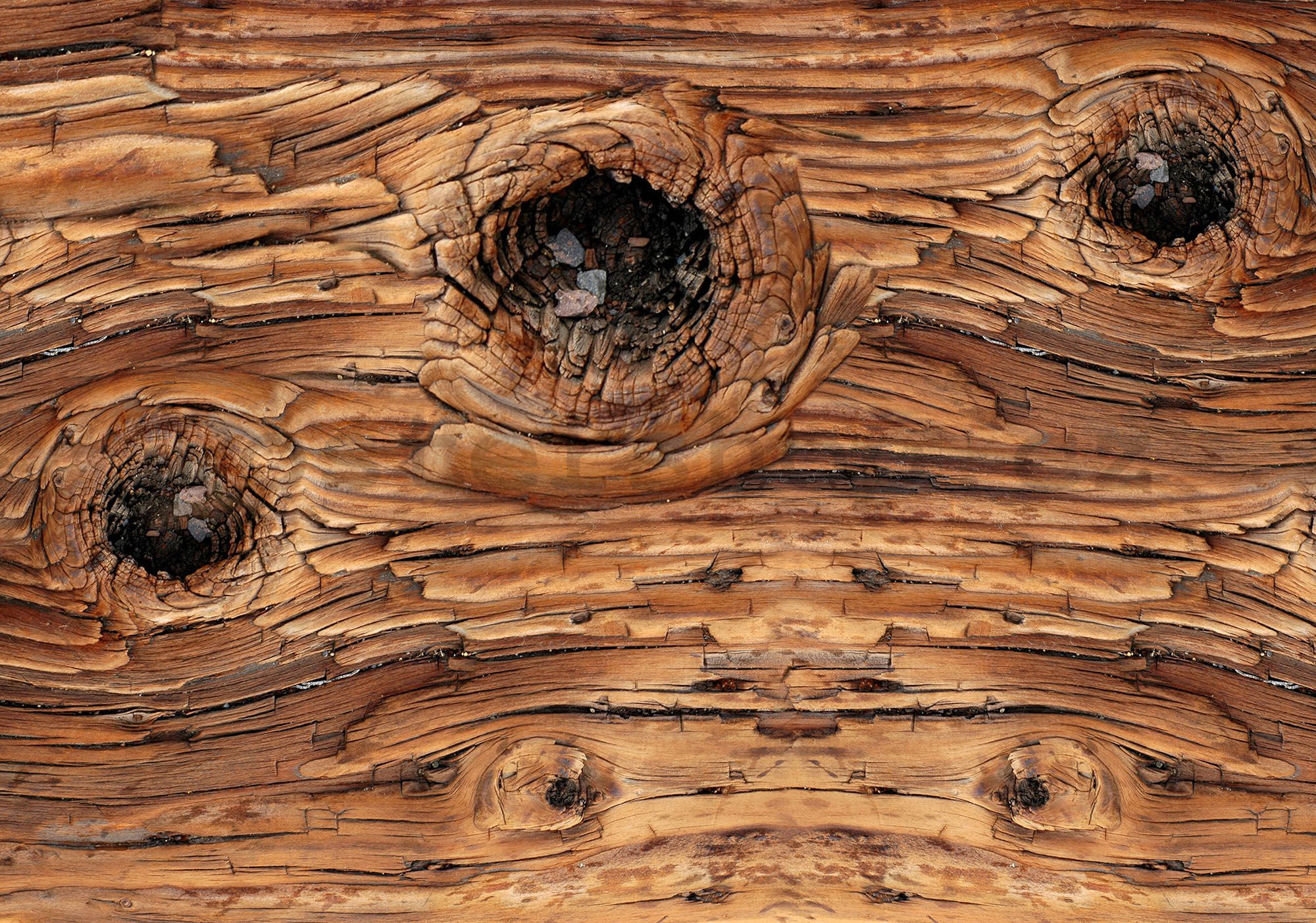 Fototapeta vliesová: Dřevo (1) - 184x254 cm