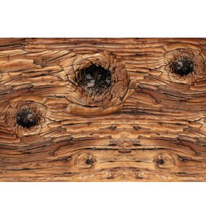 Fototapeta vliesová: Dřevo (1) - 254x368 cm