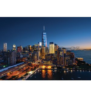Fototapeta vliesová: New York City (1) - 184x254 cm