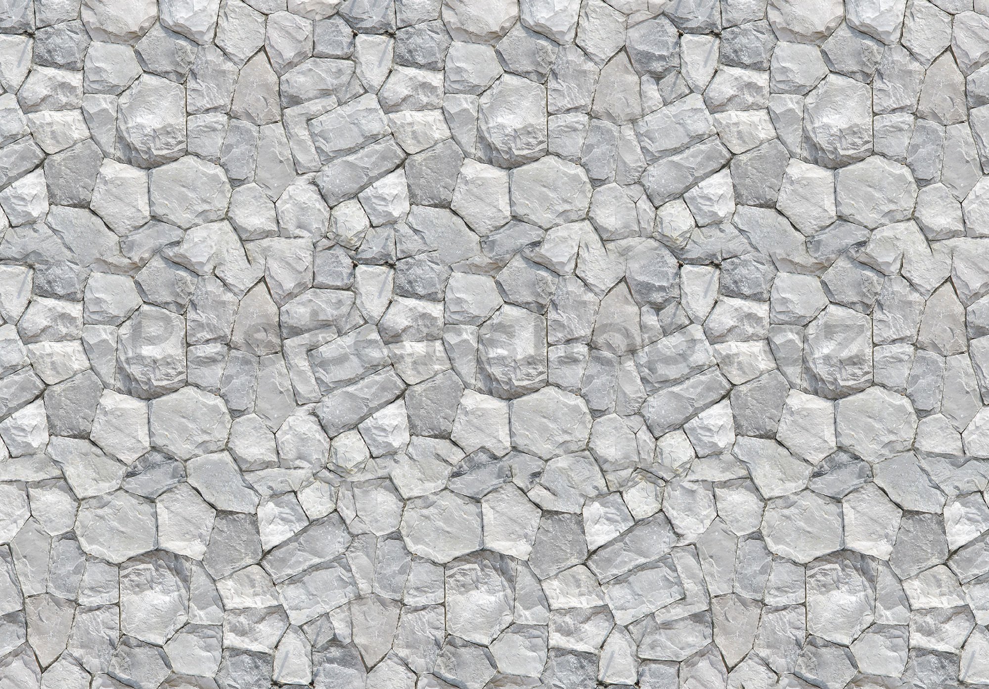 Fototapeta vliesová: Kamenná zeď (9) - 254x368 cm