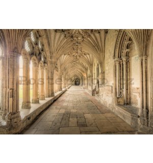 Fototapeta vliesová: Gotická architektura (1) - 184x254 cm
