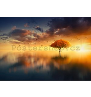 Fototapeta vliesová: Strom u jezera (2) - 254x368 cm