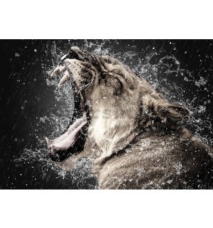Fototapeta vliesová: Řev zvířat (1) - 184x254 cm
