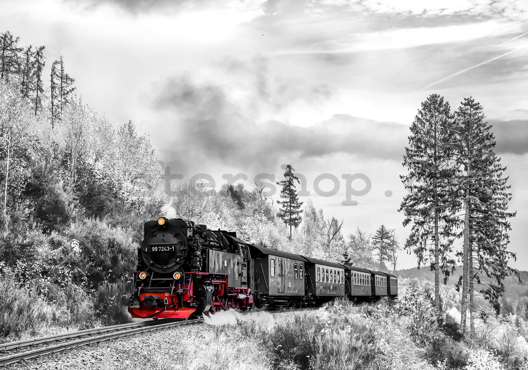 Fototapeta vliesová: Parní lokomotiva (2) - 184x254 cm
