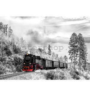 Fototapeta vliesová: Parní lokomotiva (2) - 254x368 cm