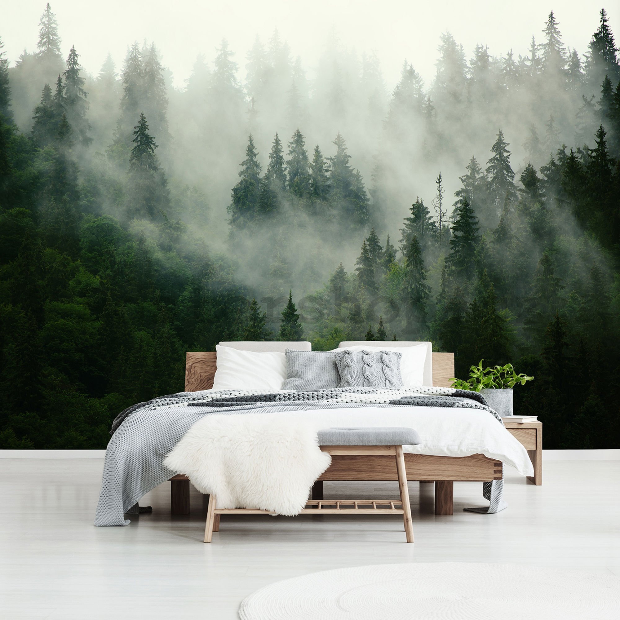 Fototapeta vliesová: Mlha nad lesem (1) - 184x254 cm
