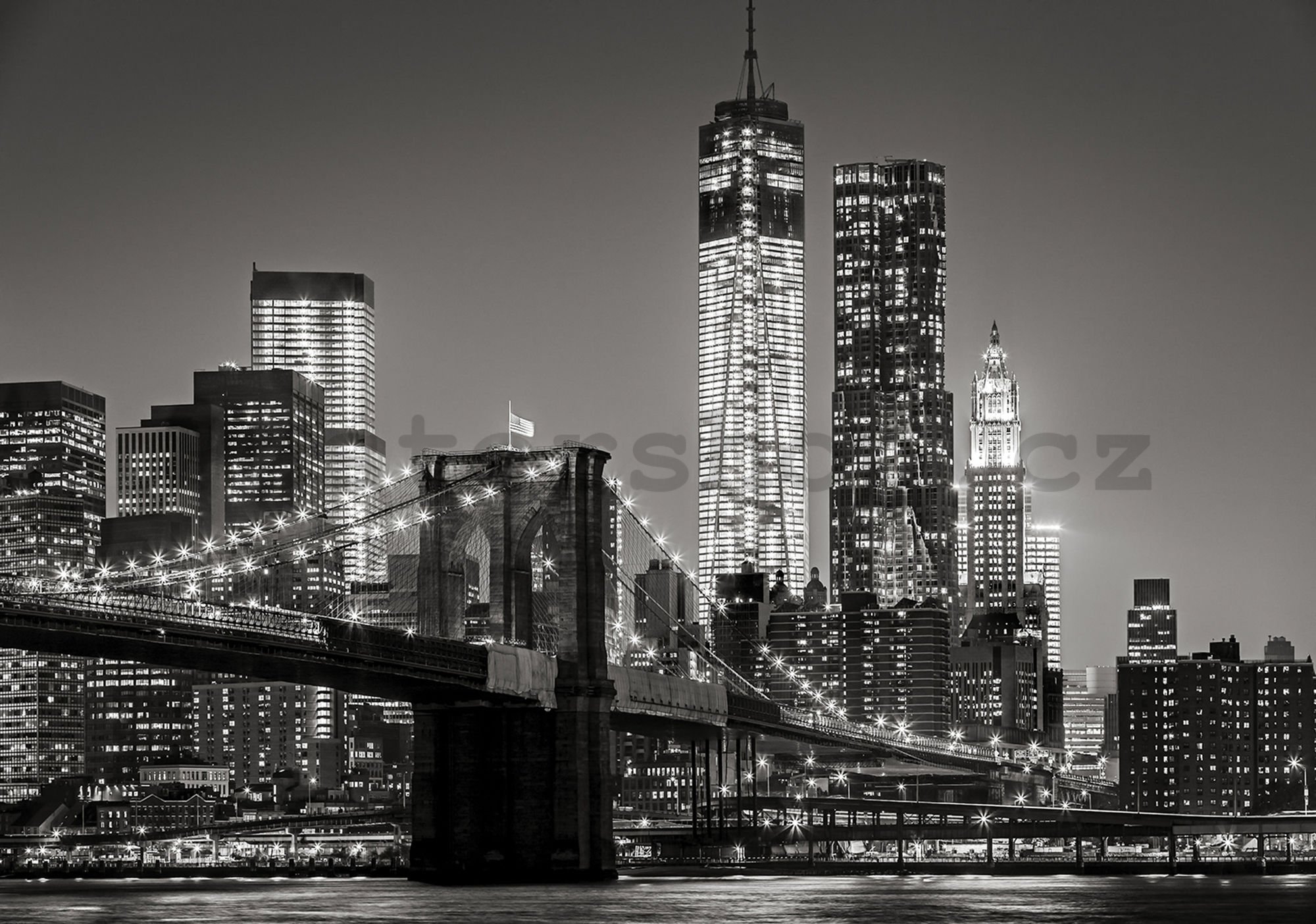 Fototapeta vliesová: Brooklyn Bridge (4) - 104x152,5 cm