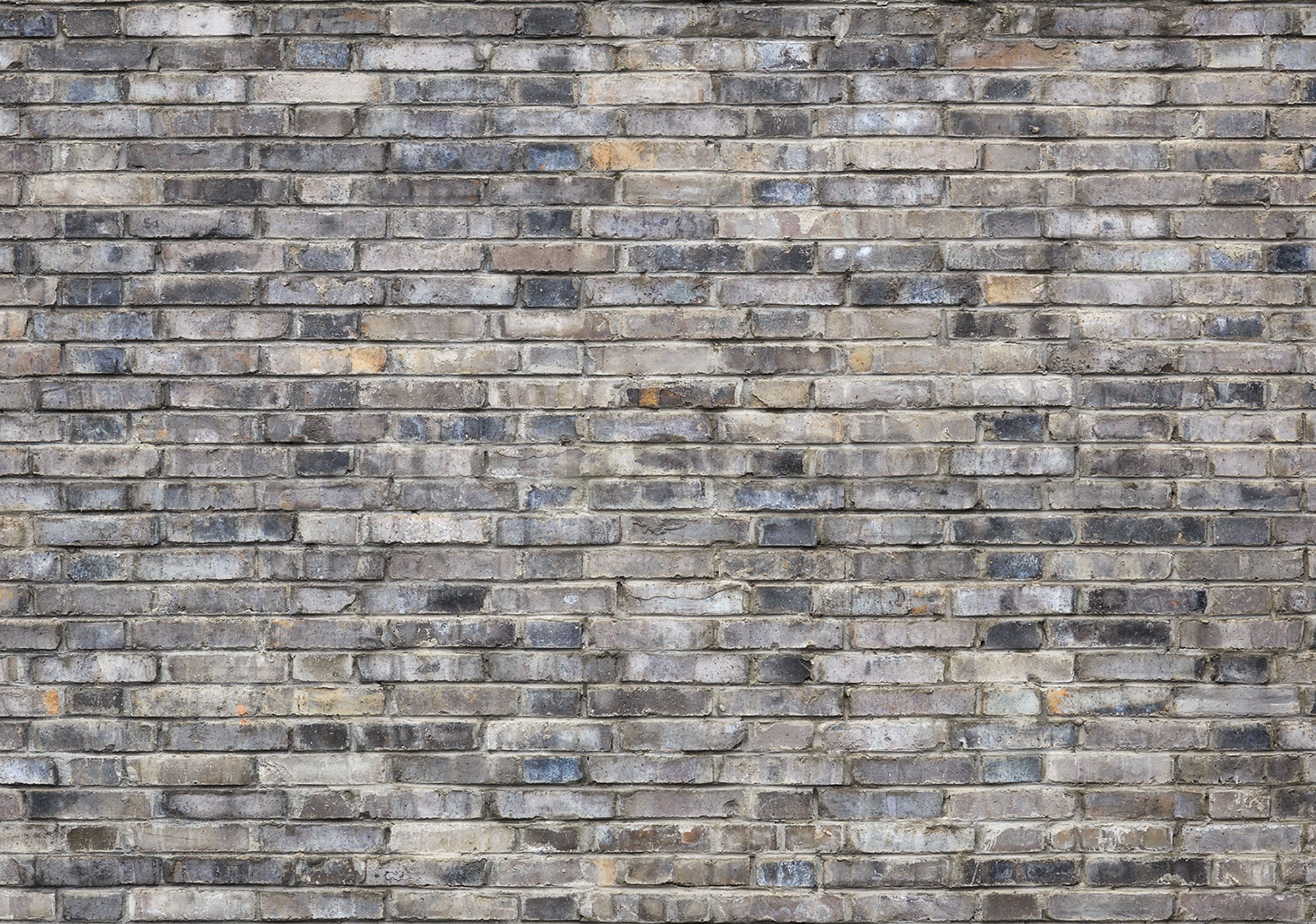 Fototapeta vliesová: Cihlová zeď (5) - 184x254 cm