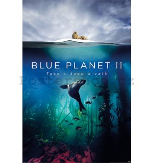 Plakát - Blue Planet 2 (Take A Deep Breath)