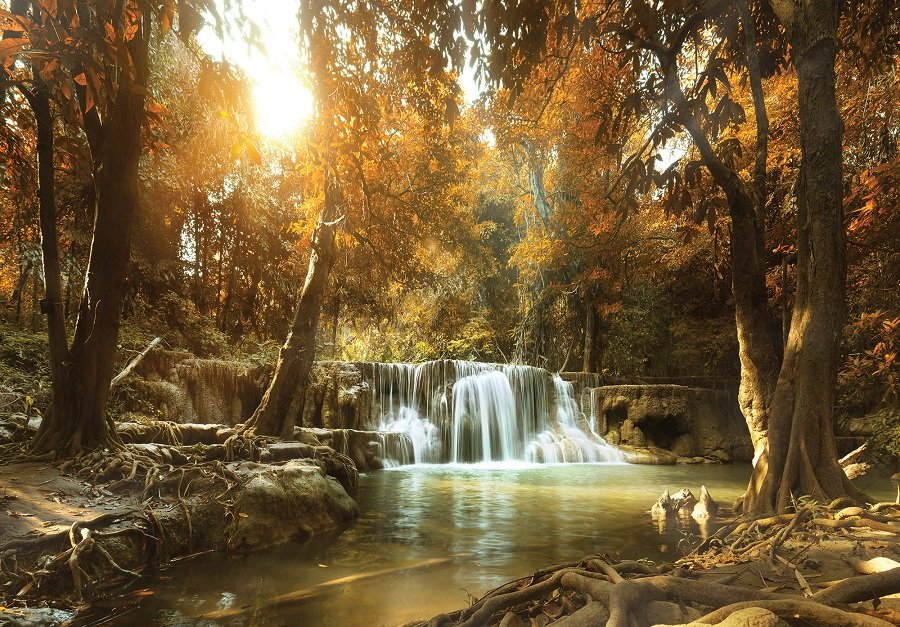 Fototapeta: Vodopády v lese (1) - 254x368 cm