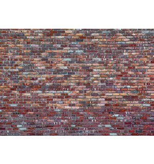 Fototapeta vliesová: Cihlová zeď (4) - 184x254 cm