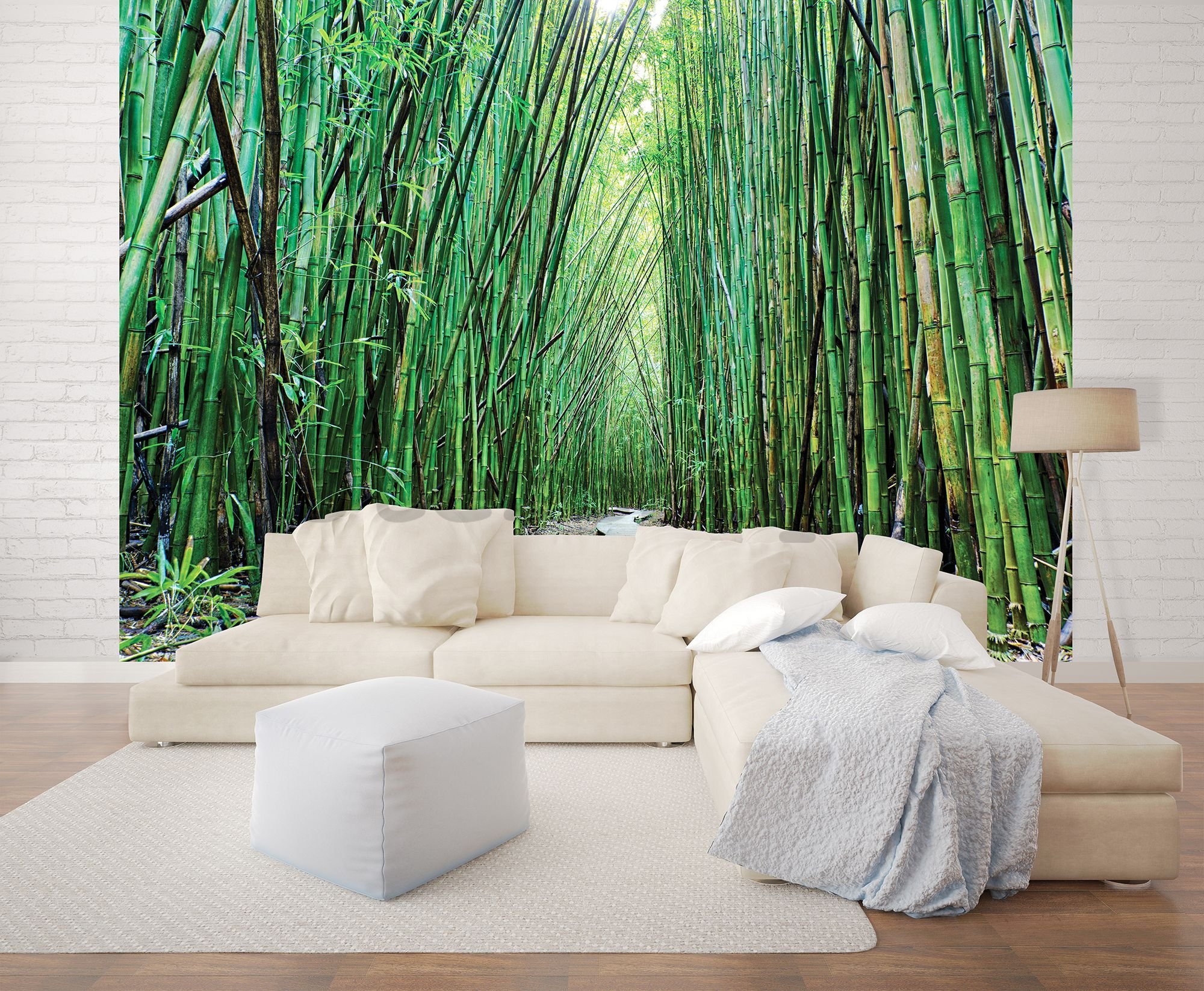 Fototapeta vliesová: Les bambusu (2) - 254x368 cm