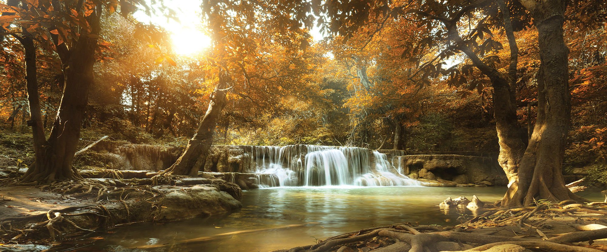 Obraz na plátně: Vodopády v lese (1) - 145x45 cm