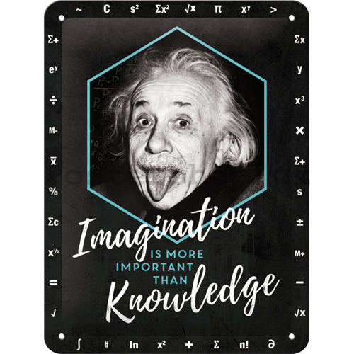 Plechová cedule: Einstein (Imagination & Knowledge) - 20x15 cm