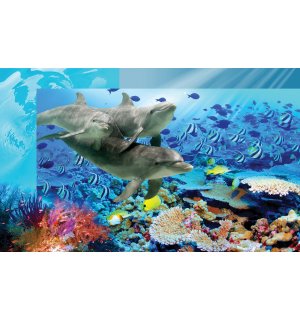 Fototapeta vliesová: Podmořský svět - 416x254 cm