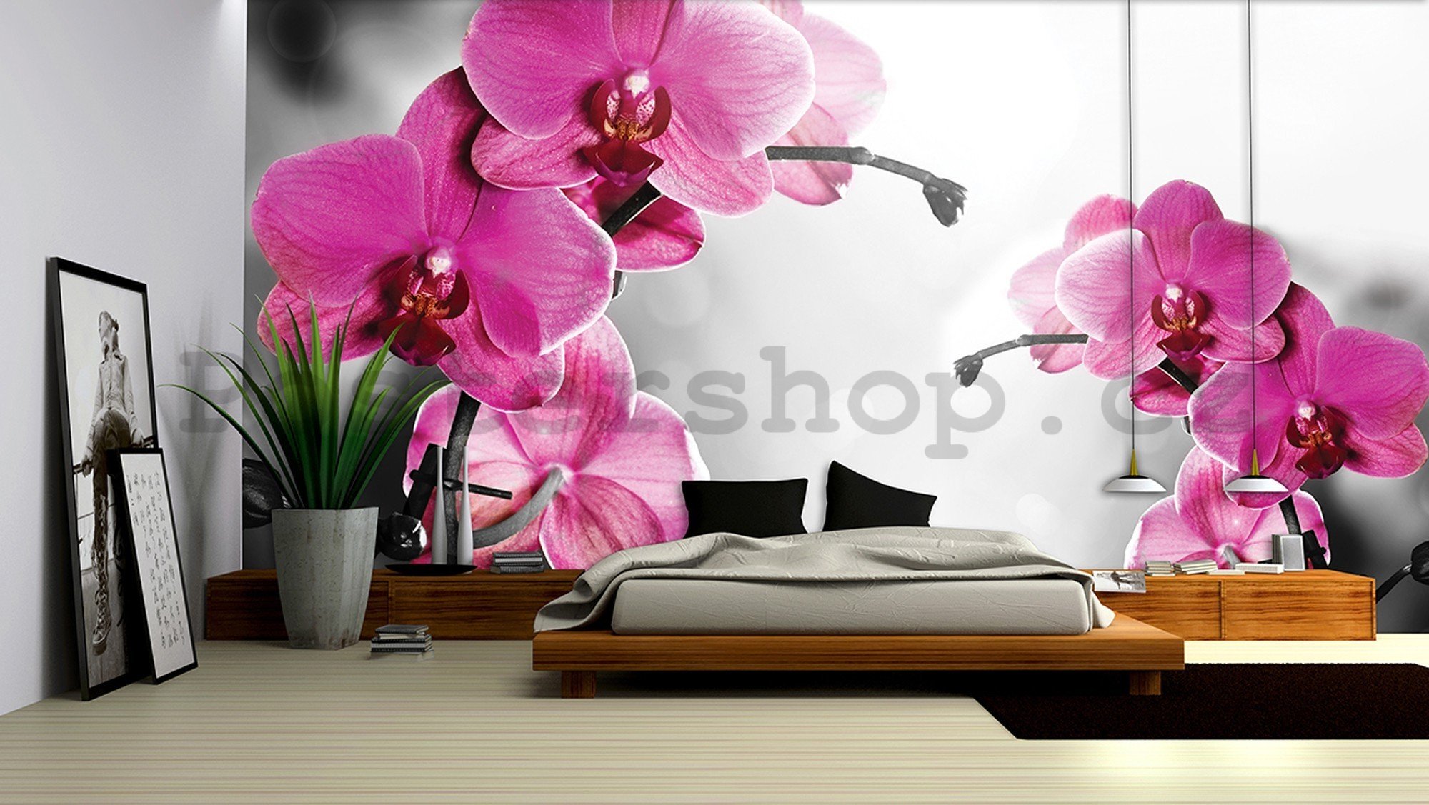 Fototapeta vliesová: Orchidej na šedém pozadí - 416x254 cm