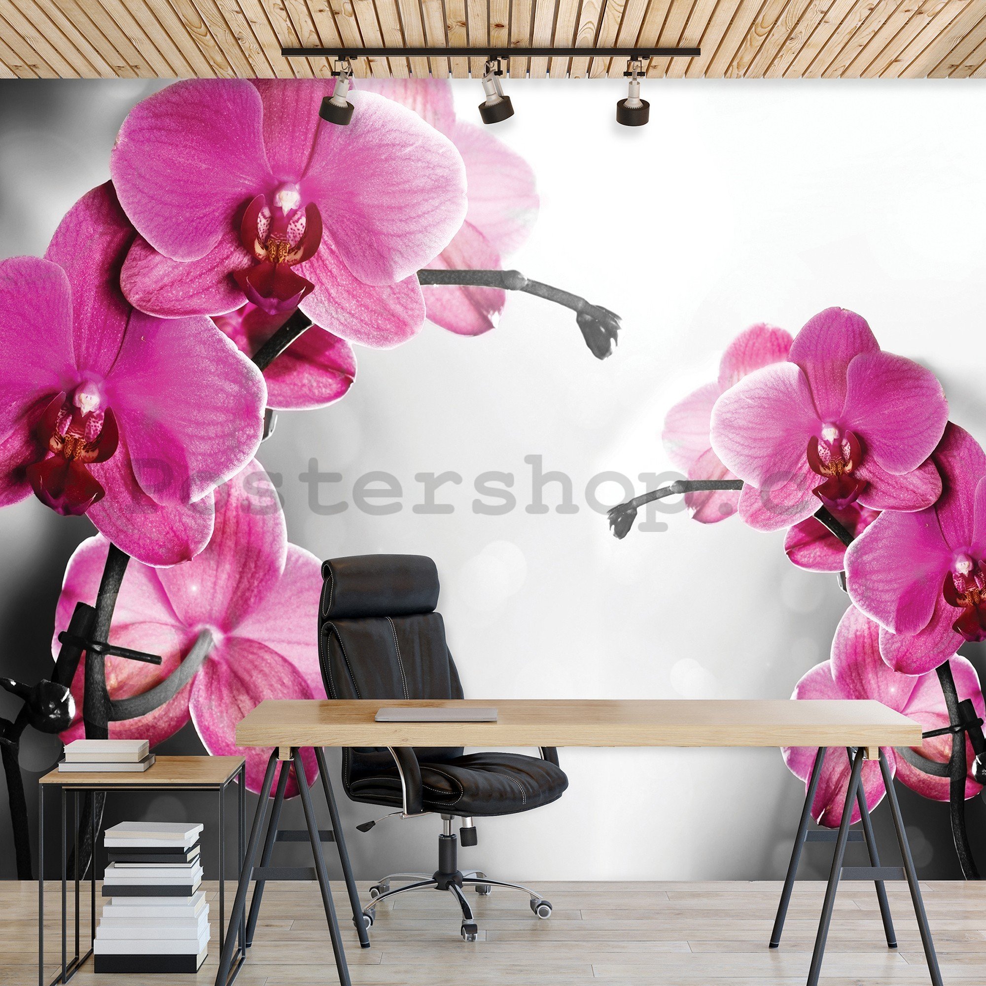 Fototapeta vliesová: Orchidej na šedém pozadí - 416x254 cm