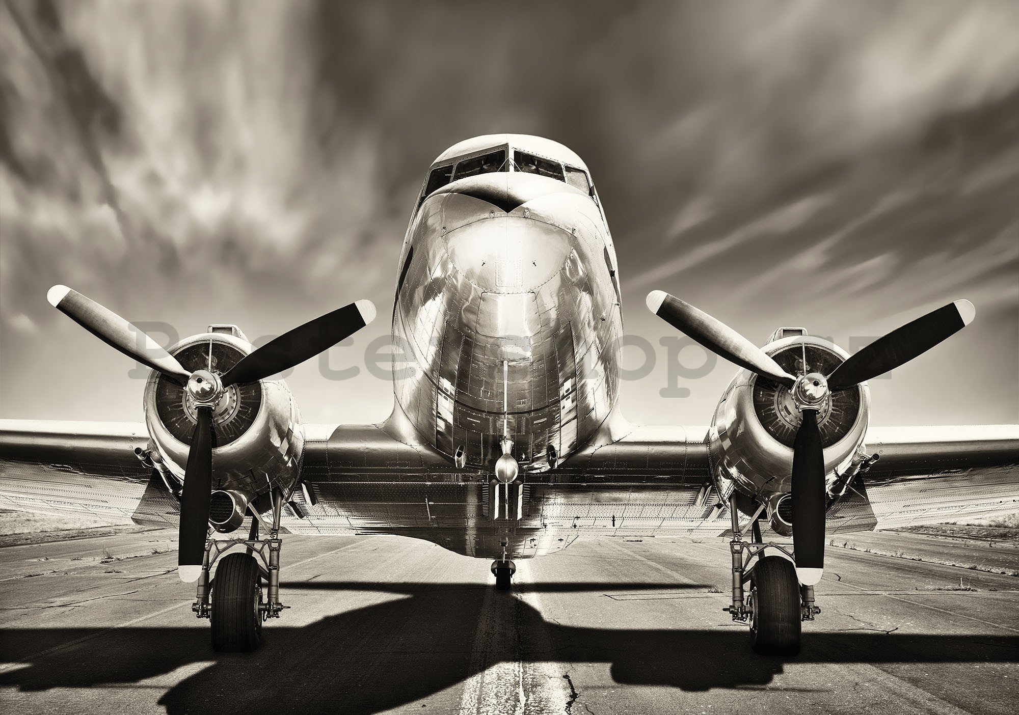 Fototapeta vliesová: Letadlo (černobílé) - 416x254 cm