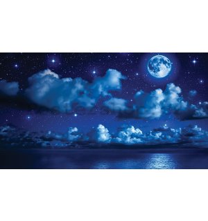 Fototapeta vliesová: Měsíční noc - 416x254 cm