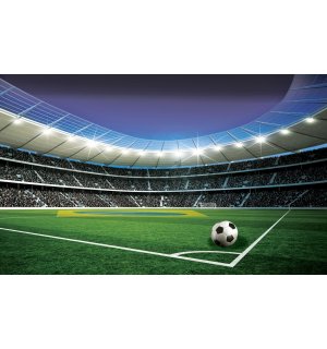 Fototapeta vliesová: Fotbalový stadion (5) - 416x254 cm
