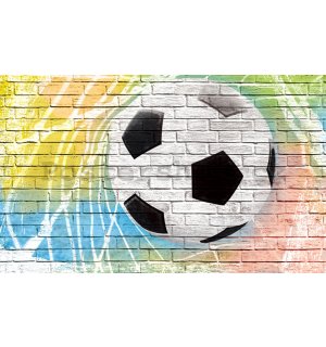 Fototapeta vliesová: Fotbalový míč (malovaný) - 416x254 cm