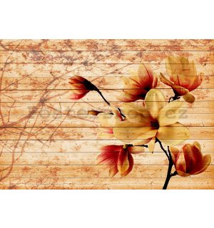 Fototapeta vliesová: Magnolie (4) - 416x254 cm