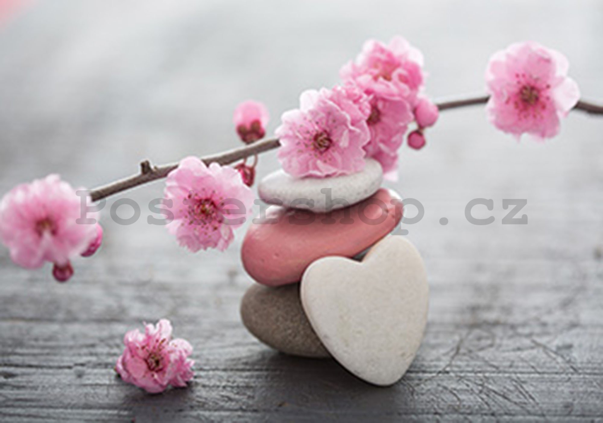 Fototapeta vliesová: Kvetoucí třešeň a srdce - 416x254 cm