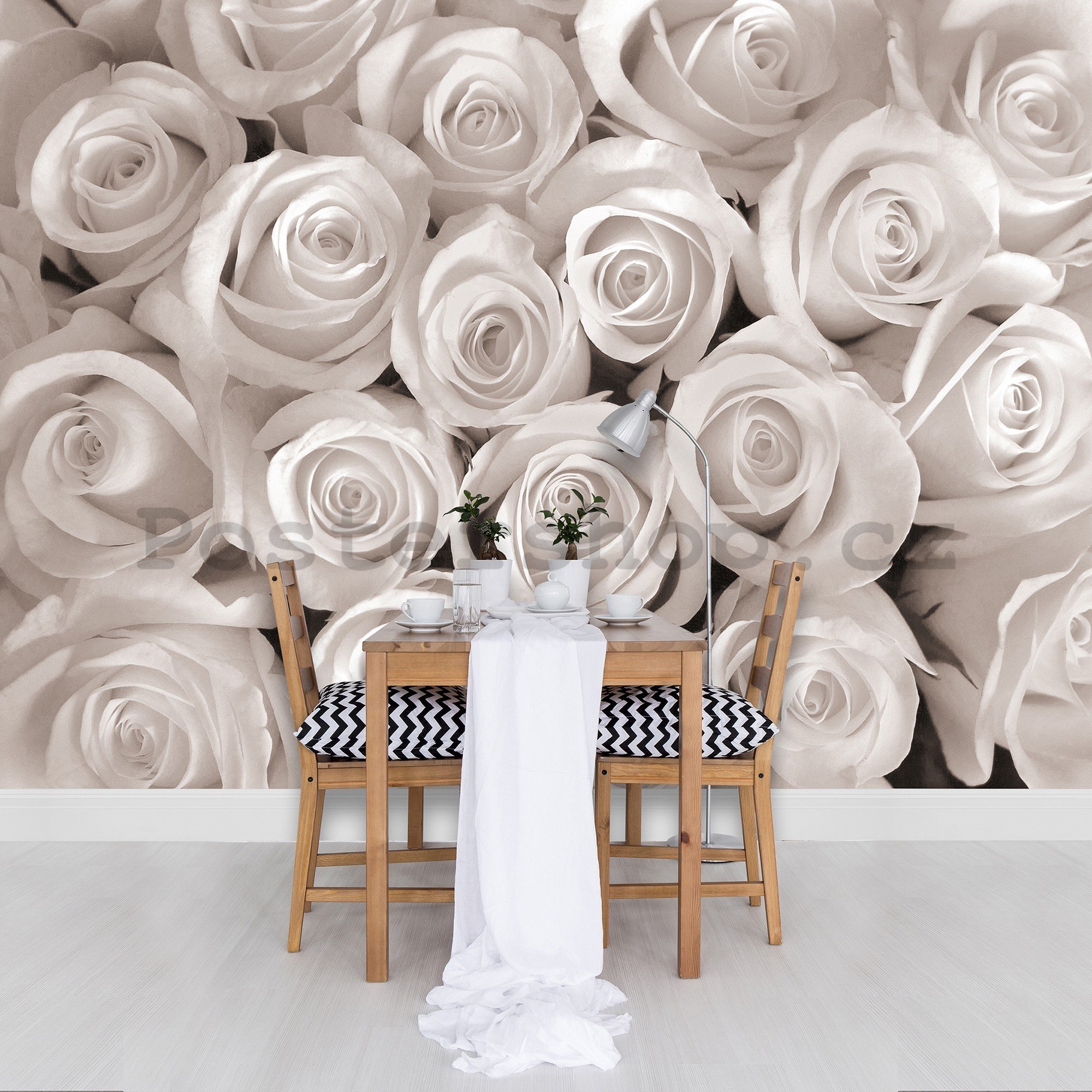 Fototapeta vliesová: Bílá růže - 416x254 cm