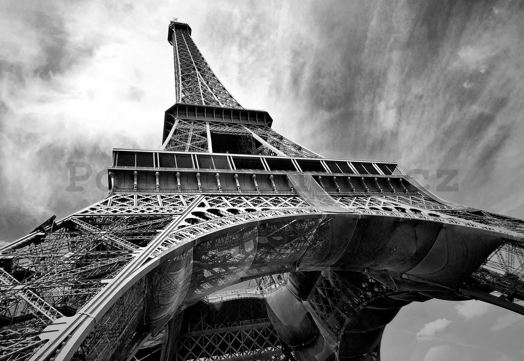 Fototapeta vliesová: Eiffelova věž (2) - 416x254 cm