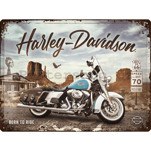 Plechová cedule: Harley-Davidson (King of Route 66) - 40x30 cm
