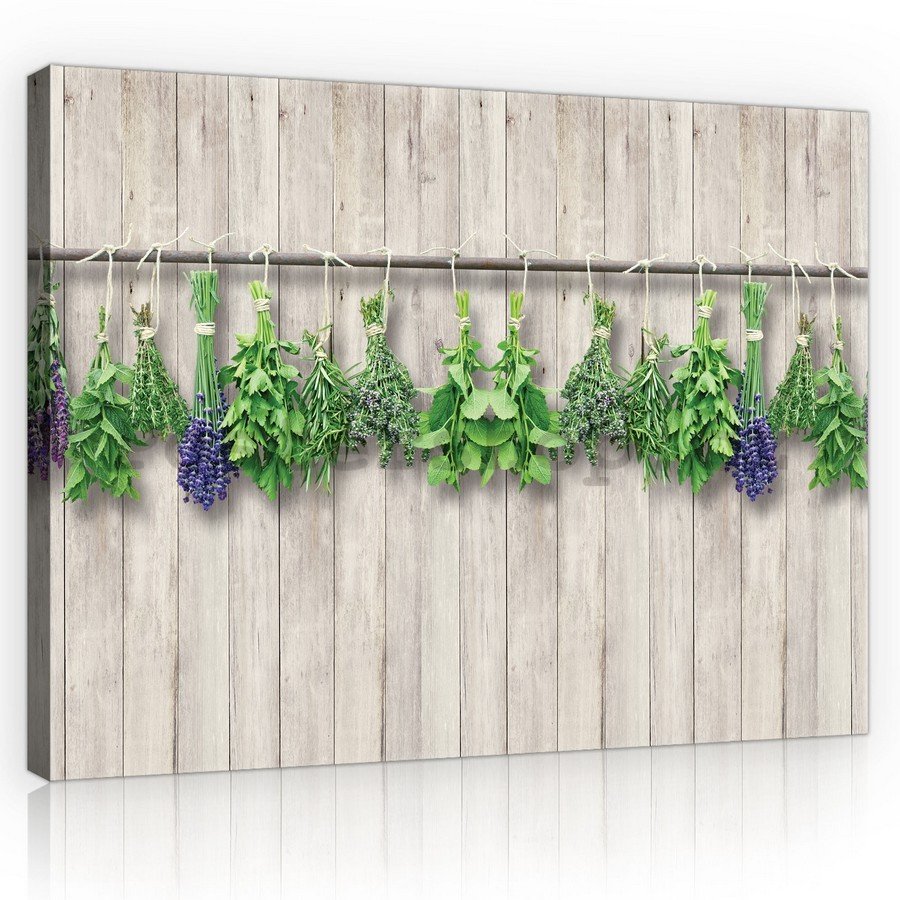 Obraz na plátně: Levandule a bylinky - 75x100 cm