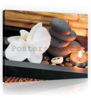 Obraz na plátně: Lázeňské kameny - 75x100 cm