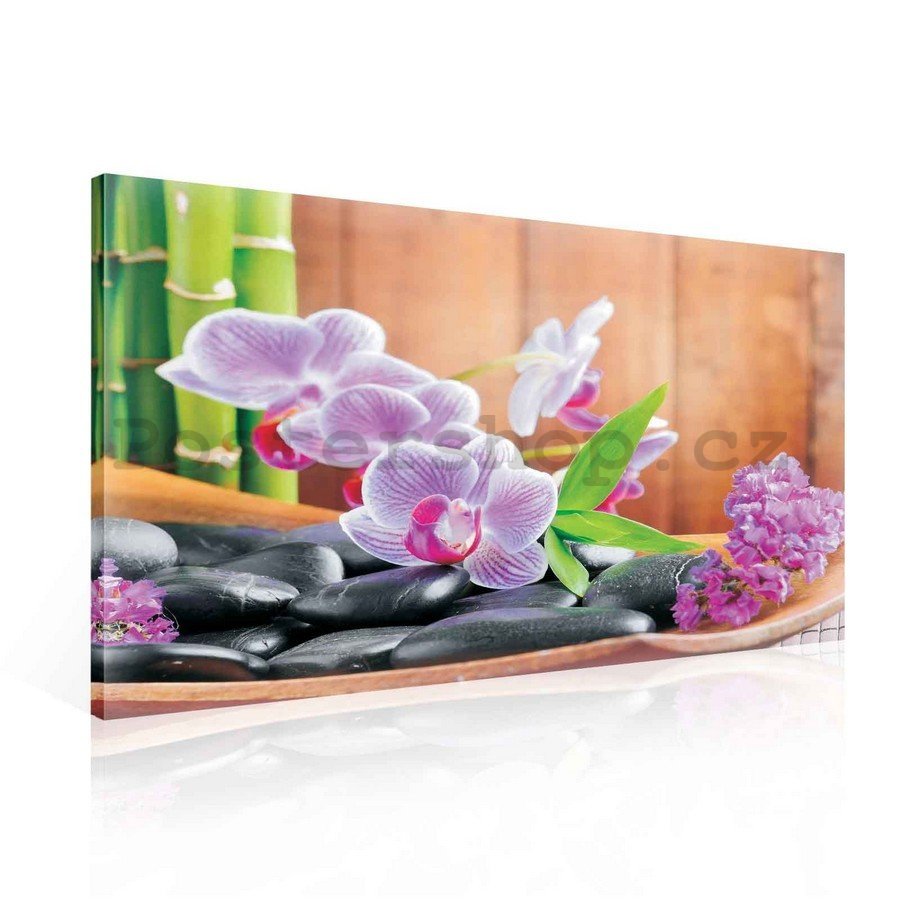 Obraz na plátně: Orchidej (1) - 75x100 cm