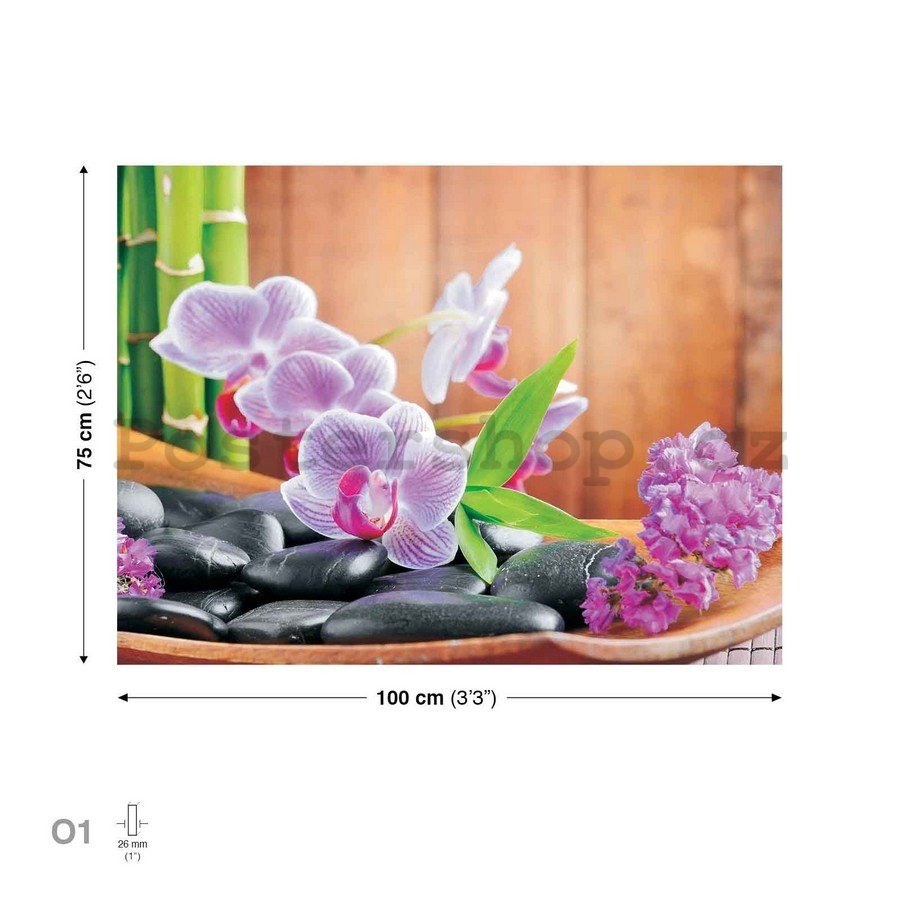 Obraz na plátně: Orchidej (1) - 75x100 cm