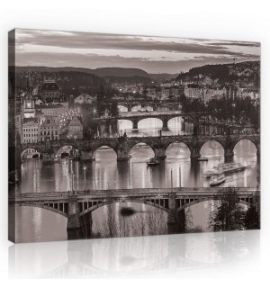Obraz na plátně: Praha (černobílá) - 75x100 cm