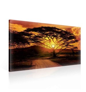 Obraz na plátně: Africký západ slunce - 75x100 cm